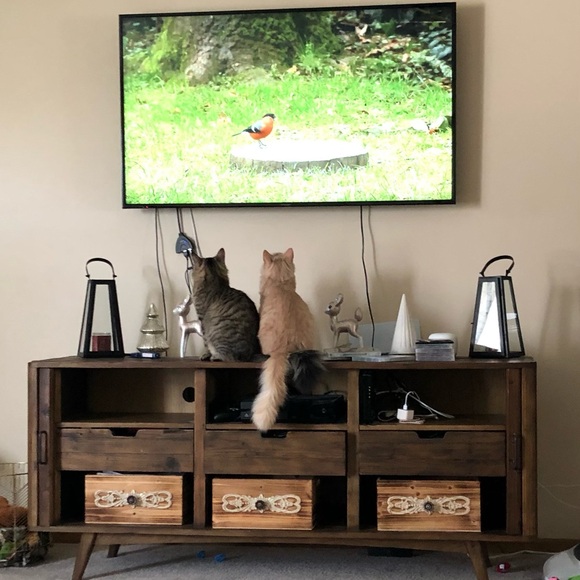 Meet your Posher, Kim - Picture 5 of 15